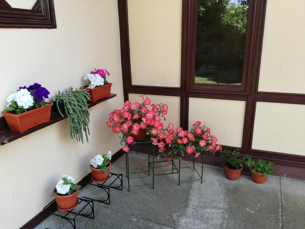 Stara Breza 1 Rooms Palic Luaran gambar